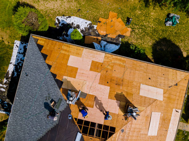 Best Flat Roof Repair Services  in Winthrop, MN