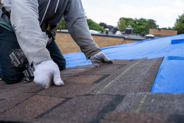 Quick and Trustworthy Emergency Roof Repair Services in Winthrop, MN