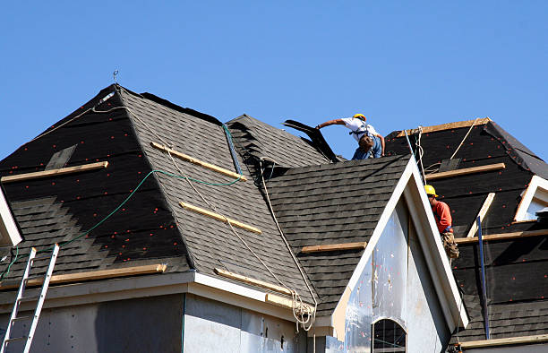 Roof Gutter Cleaning in Winthrop, MN