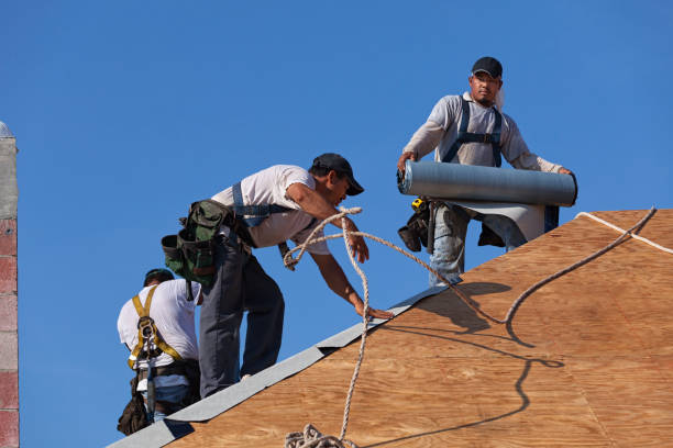 Best Roof Gutter Cleaning  in Winthrop, MN
