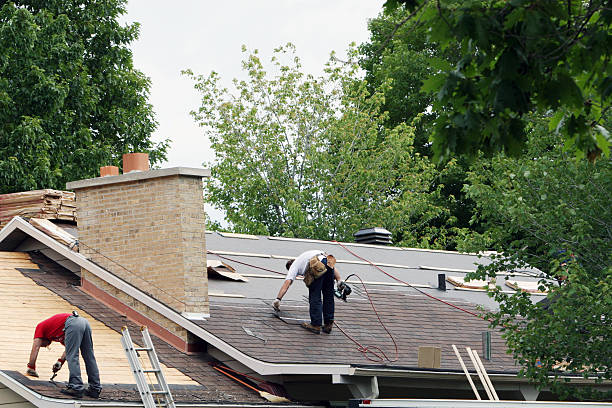 Best Roof Maintenance Services  in Winthrop, MN