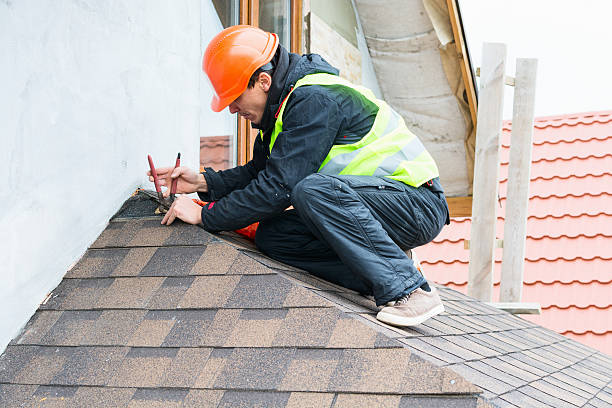 Best Roof Repair Services  in Winthrop, MN