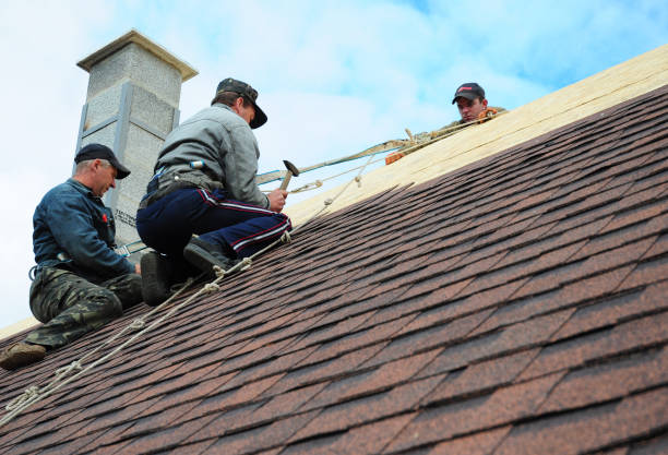 Best Best Roofing Contractors  in Winthrop, MN